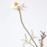  Laurentine PERILHOU - Marguerites